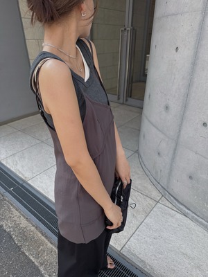 basic 5color lib tank