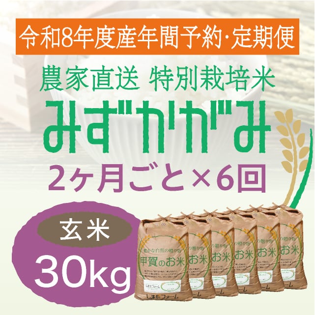 年間予約・定期便〉コシヒカリ 農家直売・特別栽培米 滋賀県産・近江米