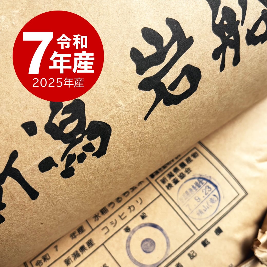 岩船産コシヒカリ 10kg 令和7年産 | 越後の稲穂屋