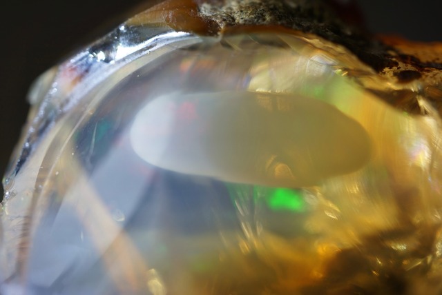 エッグ・イン・オパール Opal Egg 1331