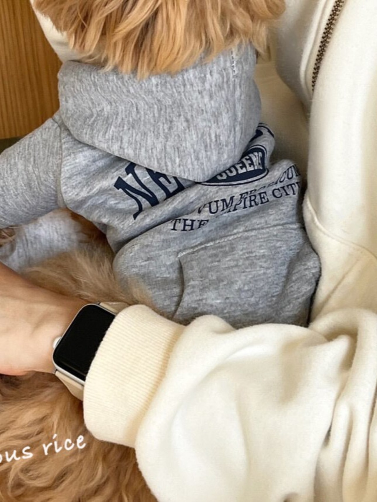 フーディーパーカー