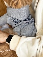 フーディーパーカー