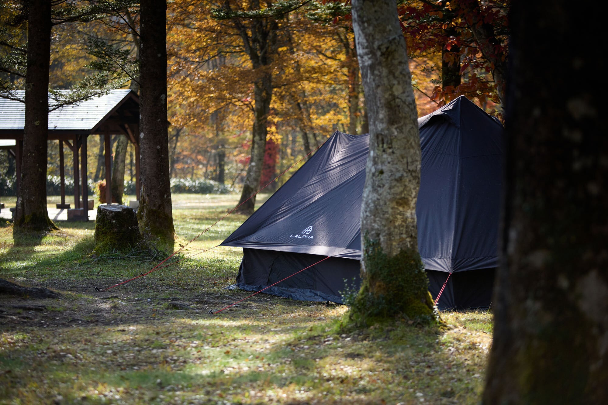 SIDE-3 TC BK（TP-400BK）1ポールシェルター | アウトドア・キャンプ
