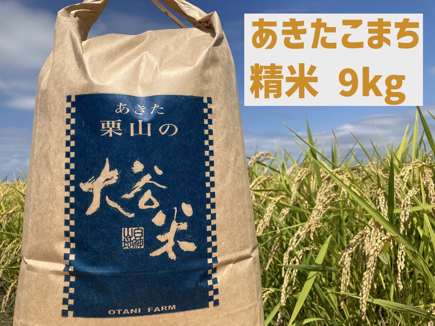 残り3袋！令和7年度　あきたこまち　精米済１０キロ〜 Amazon.co.jp: 【精米】米 10kg 令和7年産 秋田県産 あきたこまち 厳選