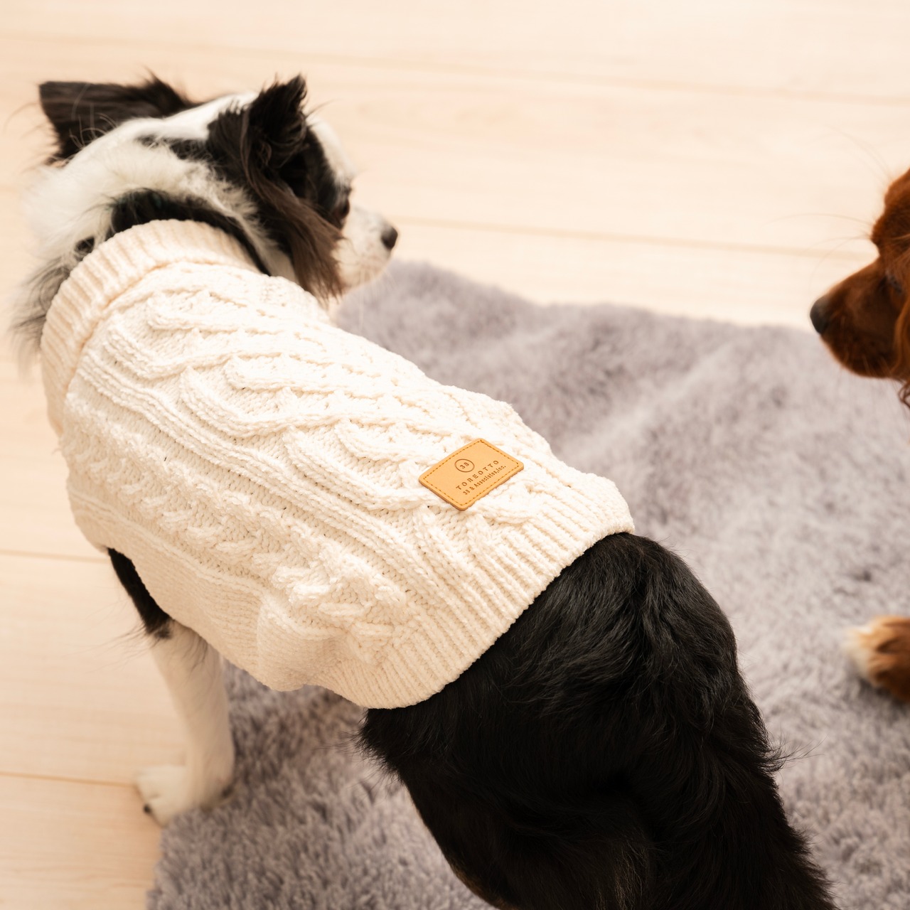 TOREOTTO38 DOG KNITVEST / WHITE