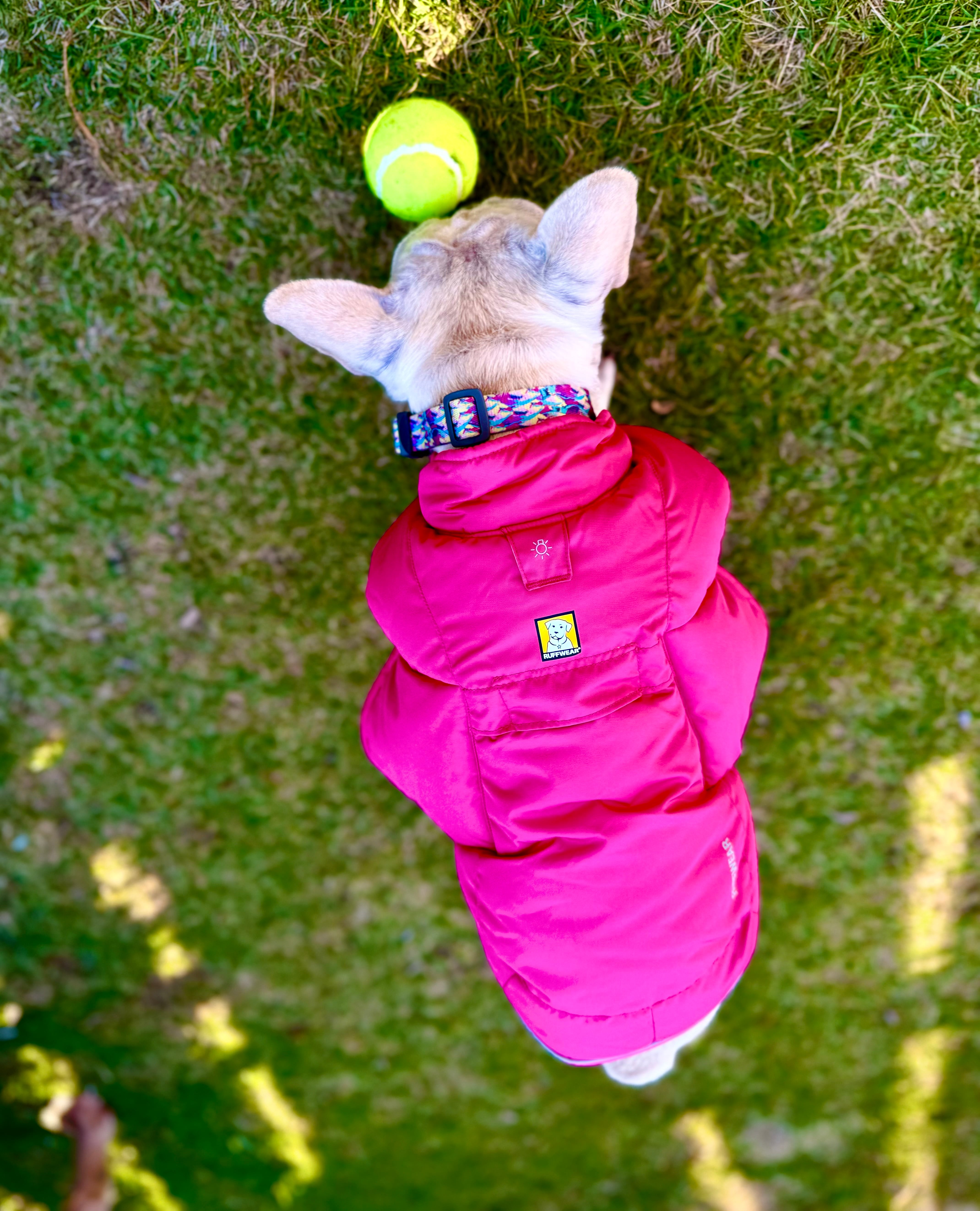 RUFFWEAR(ラフウェア) クインジードッグジャケット ファイヤーウィード