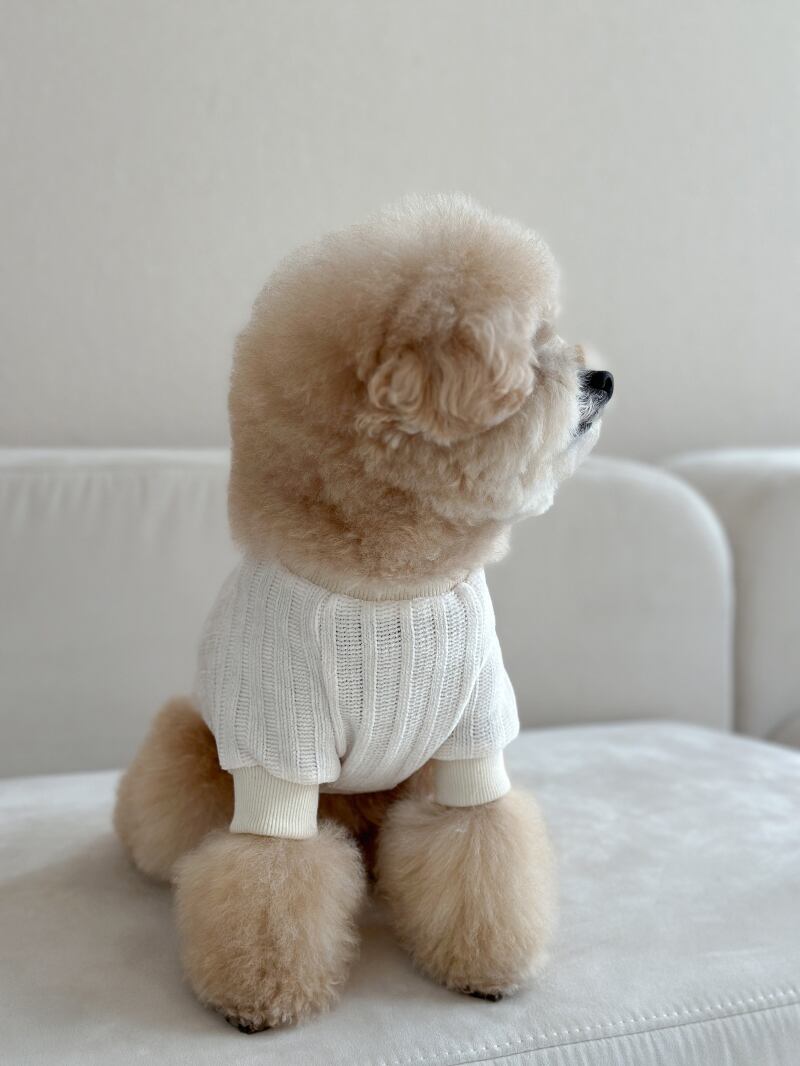 〈即納アイテム〉EYOU トップス / ベルベティセーター (ホワイト)