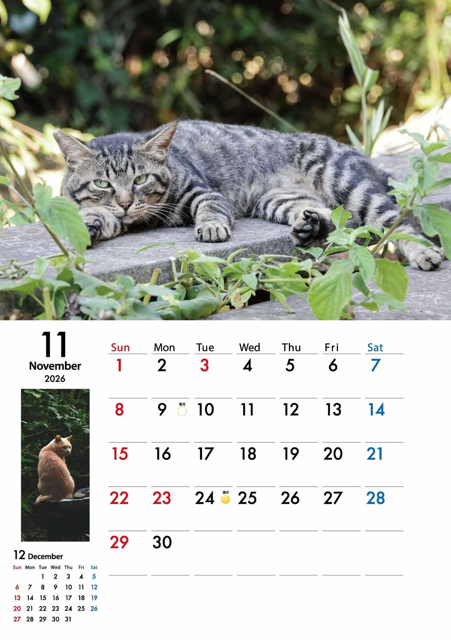 地域猫カレンダー2026 | コミュニティBASEイトネコ