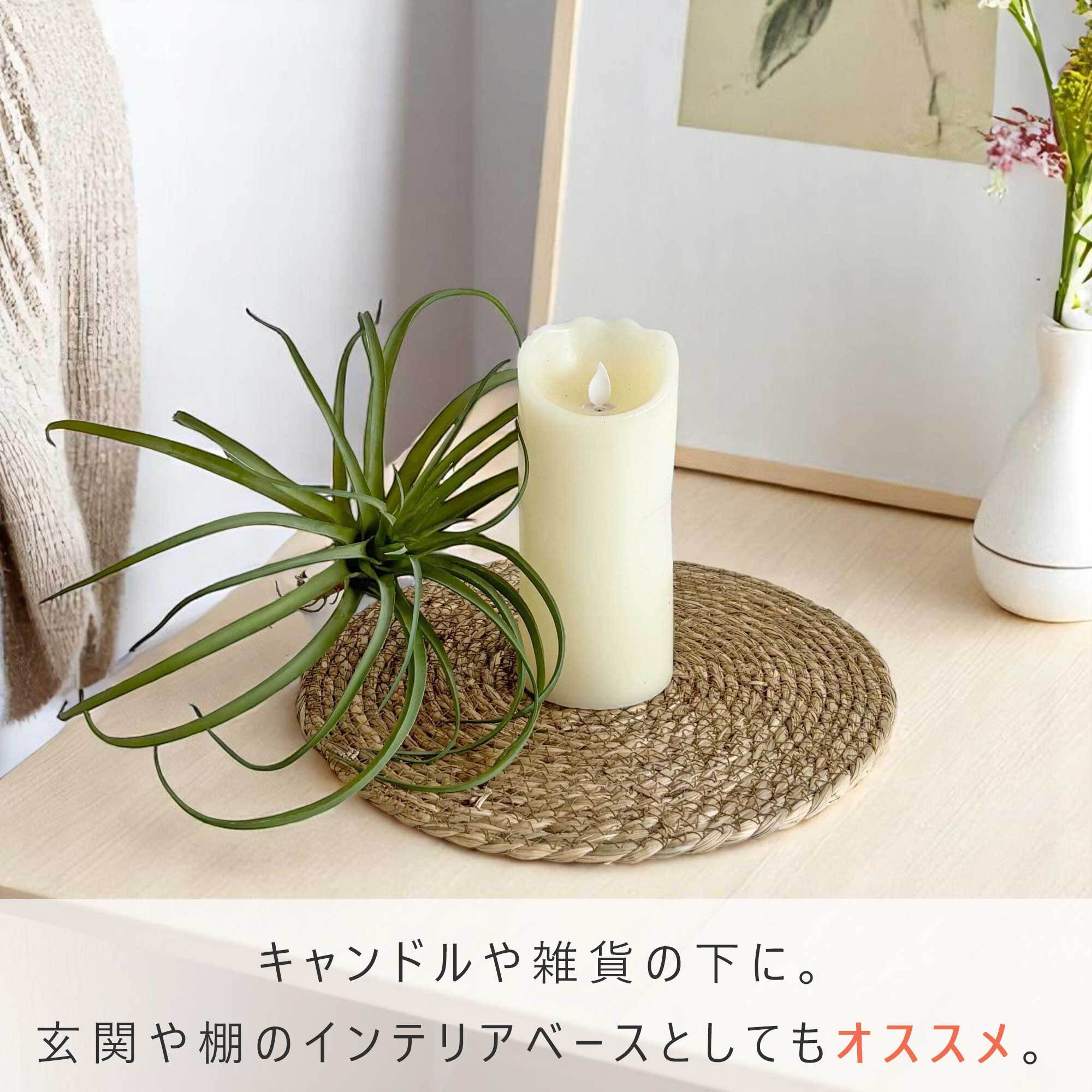 シーグラス ランチョンマット 6枚セット (SC-606-6) | Naturalsoul