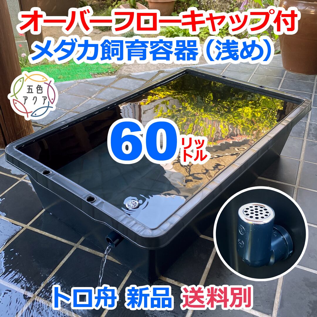 五色アクア BASE店