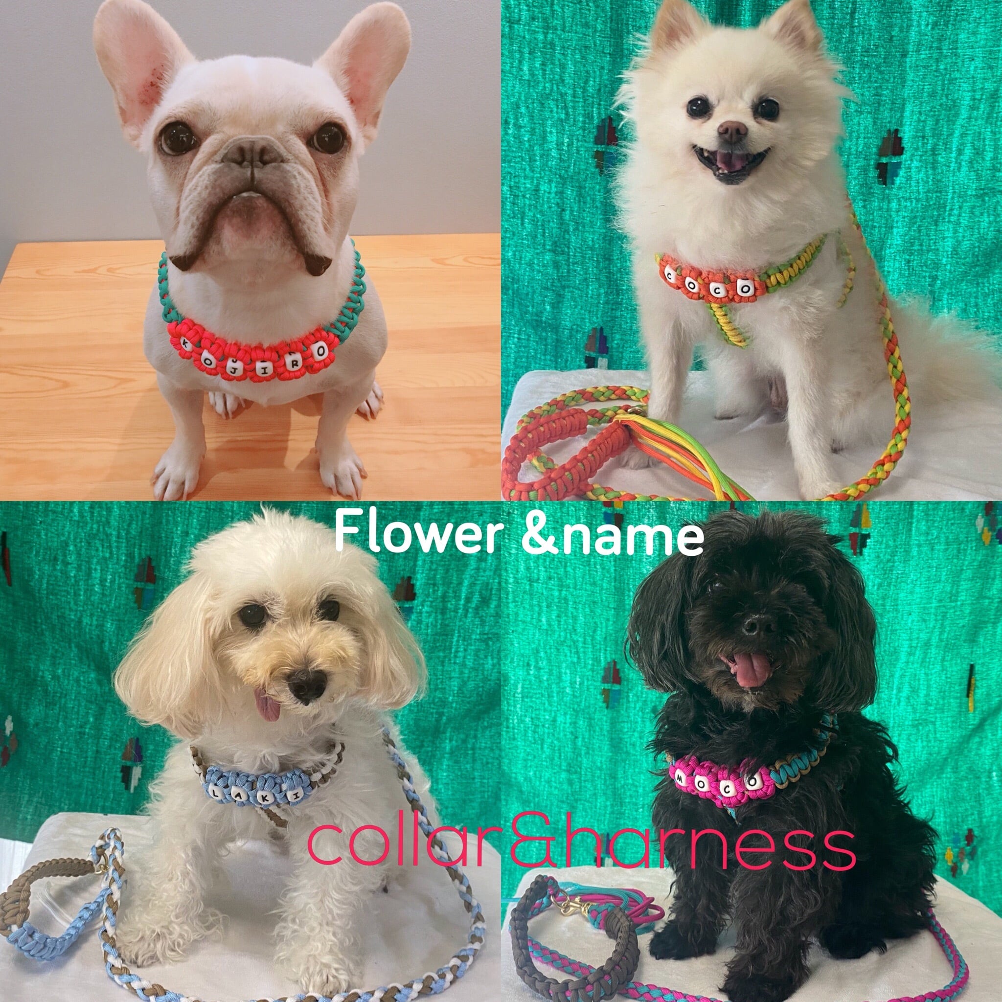 M【フラワーハーネス】名入れパラコードハーネス♡SWINY by wantasist