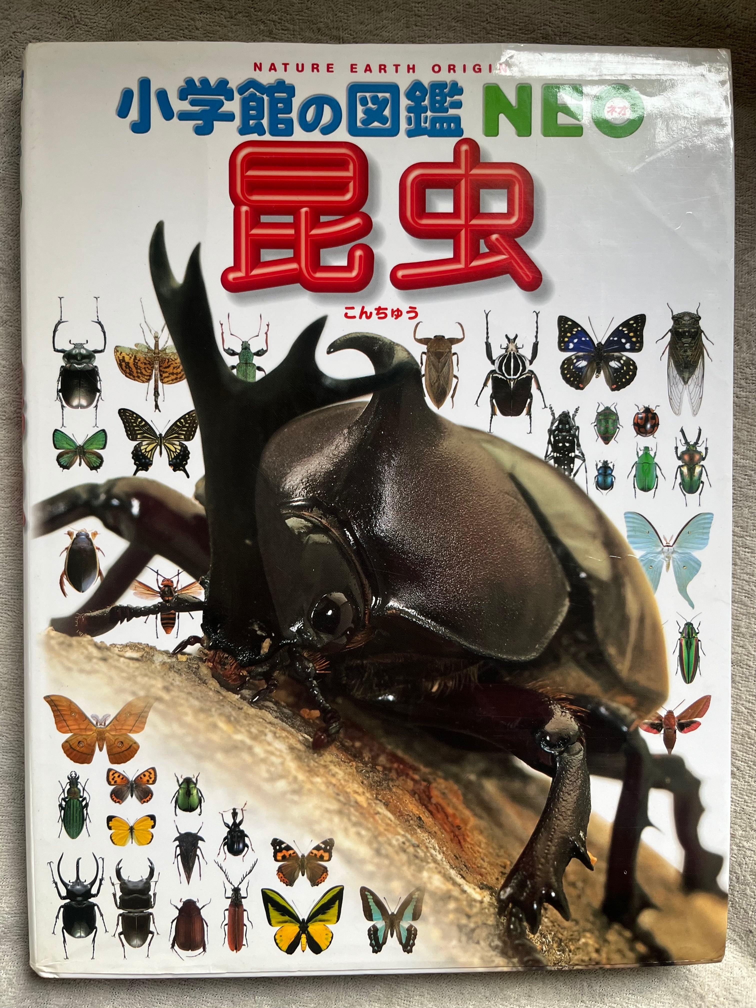 タランチュラの飼育書図鑑 ムカデセンチピードサソリ