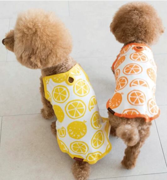 オレンジ柄キャミソール [サイズ: XS～]