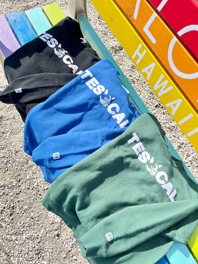 期間限定 SALE！TES ザエンドレスサマー LOCAL CREWNECK SWEAT / クルーネックスウェット¥12,000+tax(¥13,200)