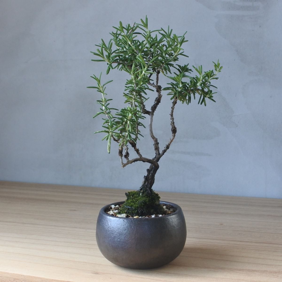 f5b349f8d983b80c180d6a0f92e3af