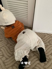 韓国子供服 / LALALAND / 26Autumn / ベベ モダル まるえりTシャツ / 秋服 / ベビー *6M~18M*