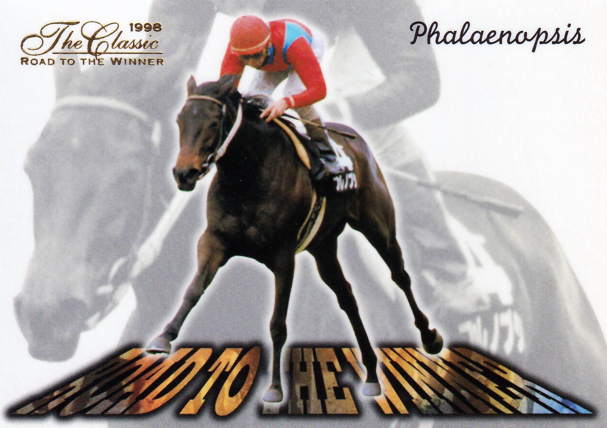 ファレノプシス「The Classic 1998 Road To The Winner」RW-19