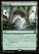 MTG《乱動する梢/Roiling Canopy(FRA)》日本語