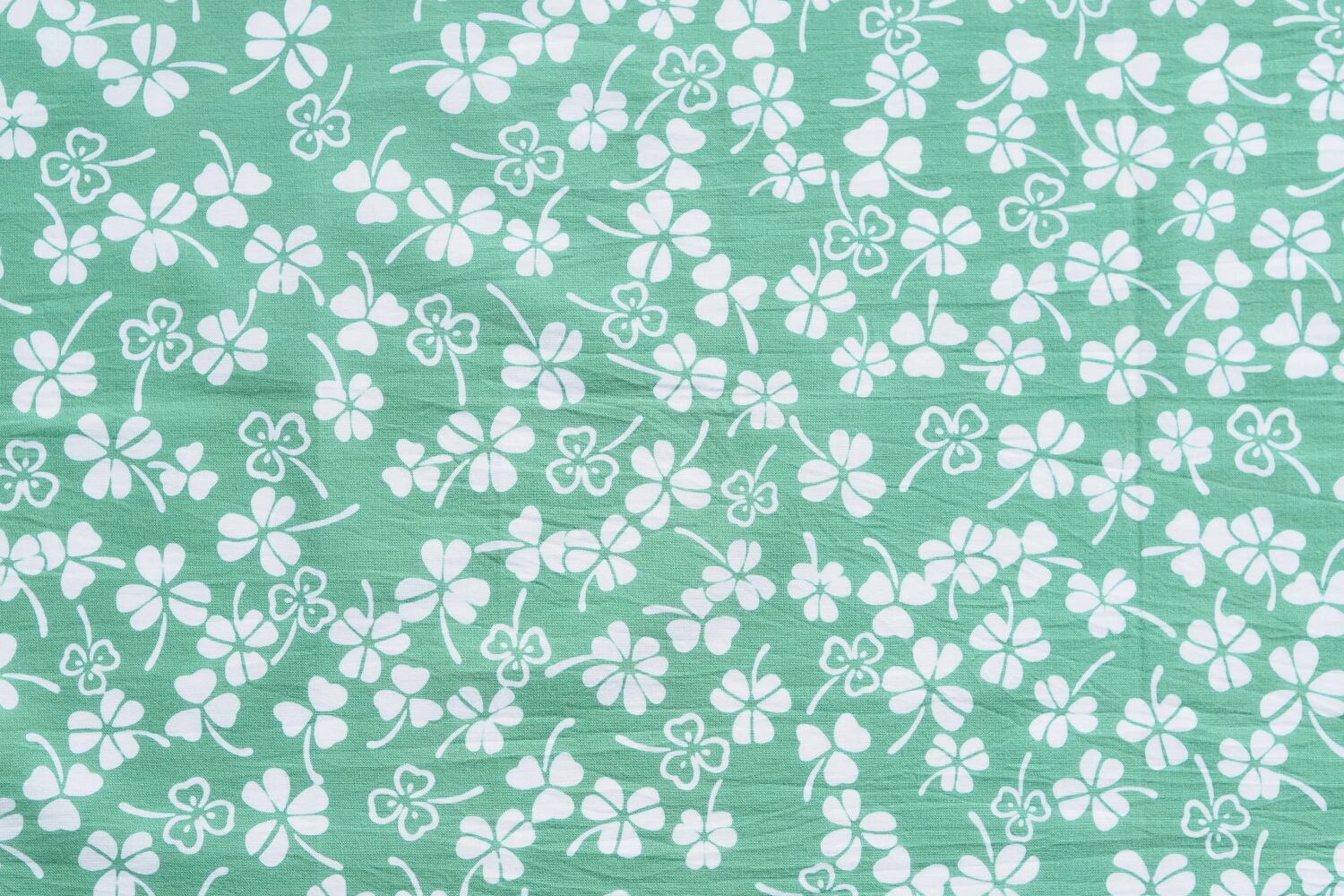 ⬇️ヴィンテージ ドーム パテ ド ヴェール クリスタル イチジクの葉の皿 Potage Saint-Germain 瀬戸内の天然真鯛と菜の花のタルタル 花の