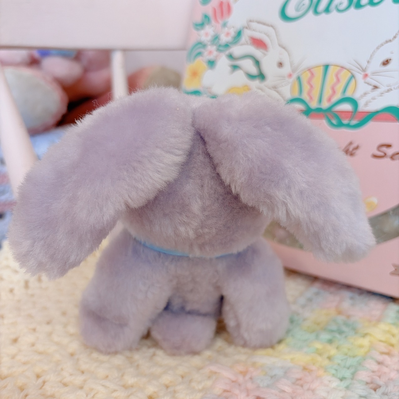 bunnyの画像04