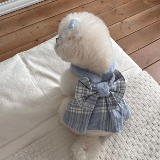 【予約】 Amelie Ribbon OPS (Blue)