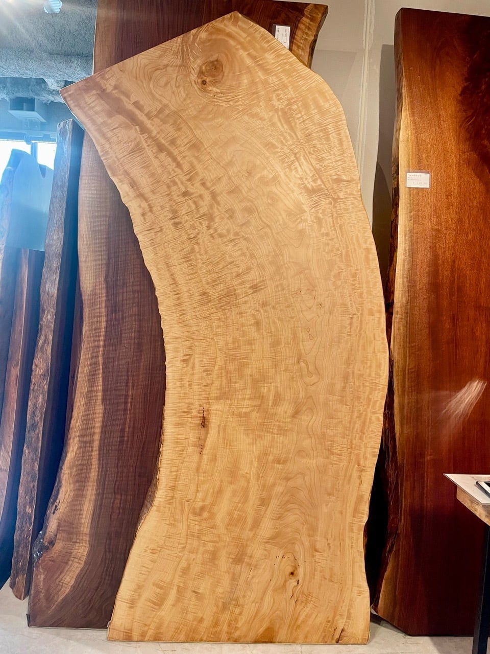 ≪青山店≫白栃（トチ） 全面杢 一枚板 2200×840-910×60 221267 | 千年