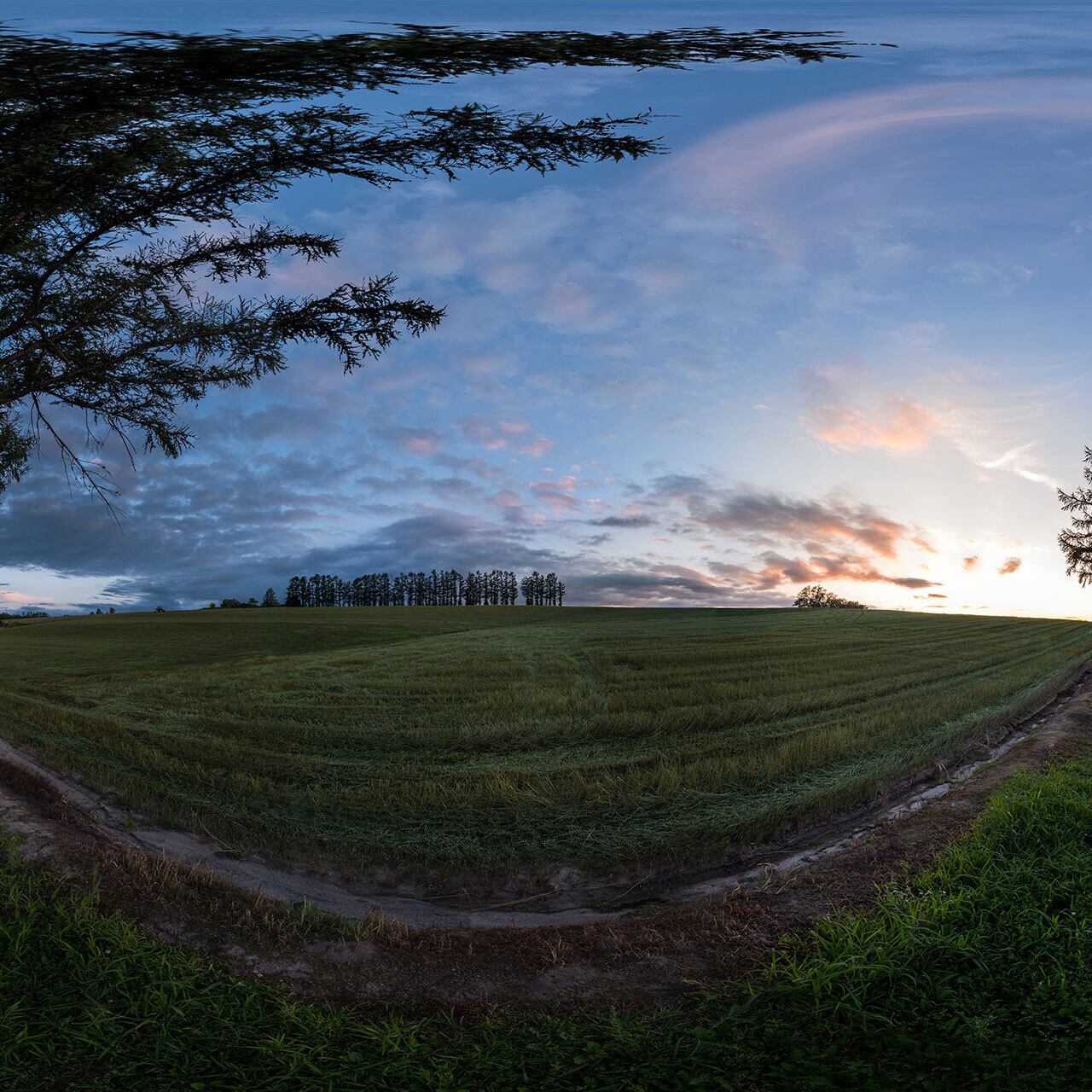 美瑛 マイルドセブンの丘の夕景 | JAPAN VRツアー | 360-Panorama