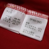 社交ダンス 衣装 スタンダード ドレス ワンピース レッスンウェア パーティ衣装 オールシーズン A vivare アビバーレ 赤 レッド系 無地 コサージュ 伸縮性 ファスナー仕様 肩パッド 胸パッド ポリエステル ポリウレタン レオタード 燃え立つような チュニック フレア ドレープ 大人用 おしゃれ かわいい レディース 体型カバー シンプル デザイン お出かけ ダンスパフォーマンス 着やすい