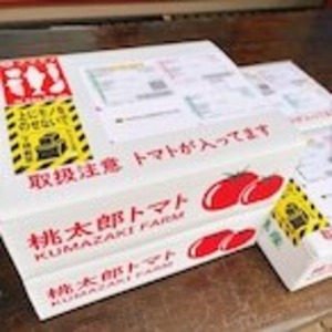 新鮮桃太郎春トマト　６個　袋入り　１.２㎏以上　１０００円