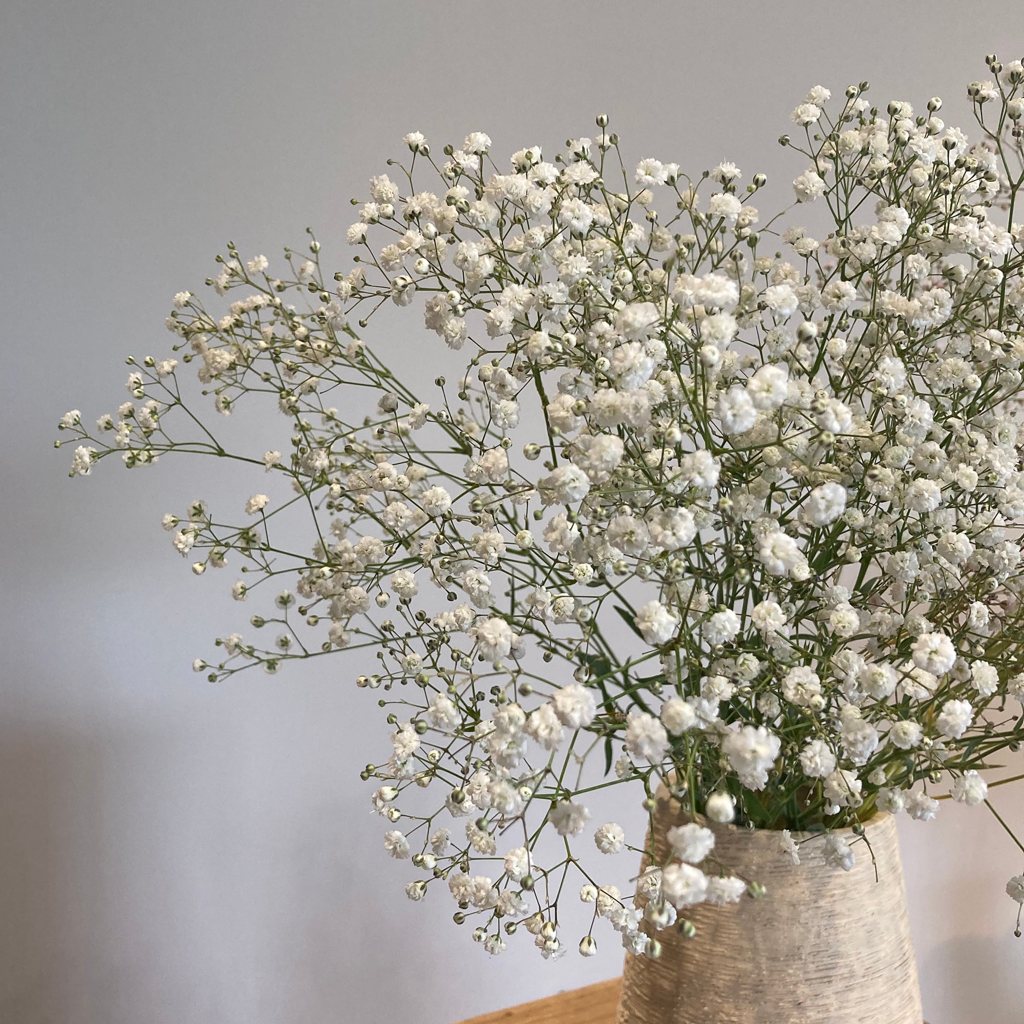 白のカスミソウ〈Baby's breath〉☆フラワーロス削減 | 2020スマイル