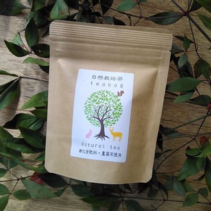 自然栽培茶ティーバッグ（2g×10P）【深蒸し掛川茶/産地直送/無化学肥料・農薬不使用】