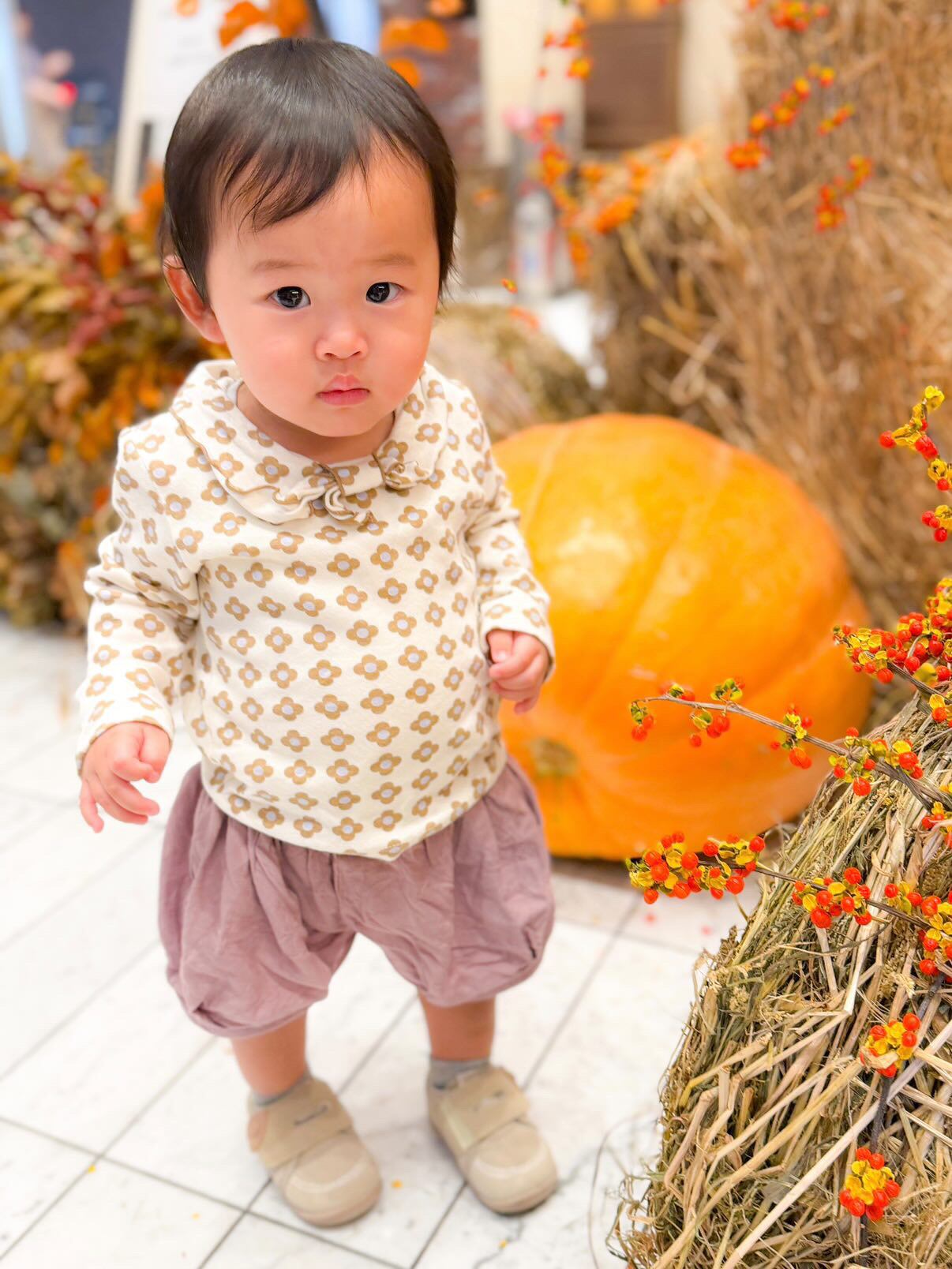 即納◆85-95 ミルクセーラーT-milk balm