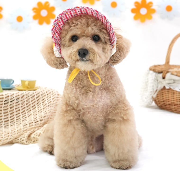 flower suncap / 犬用 帽子 日よけ帽子 サンバイザー 紫外線対策 アクセサリー ドッグウェア ペット用 被り物 キャップハット お揃い お出かけ