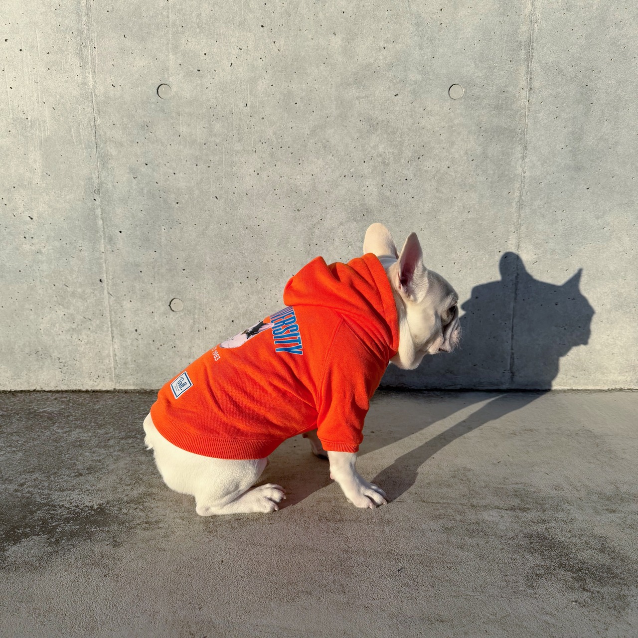 EXOTIC UNIVERSITY パーカー おでん（オレンジ） - 5