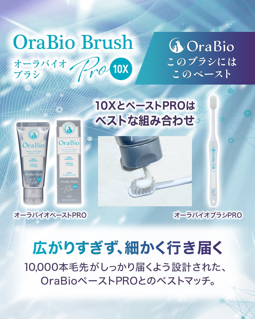 オーラバイオブラシPRO 10X（歯科衛生士推奨） | BYRON公式ショップ