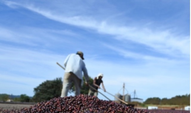 ブラジル サントアントニオ プレミアムショコラ　ナチュナル　150g