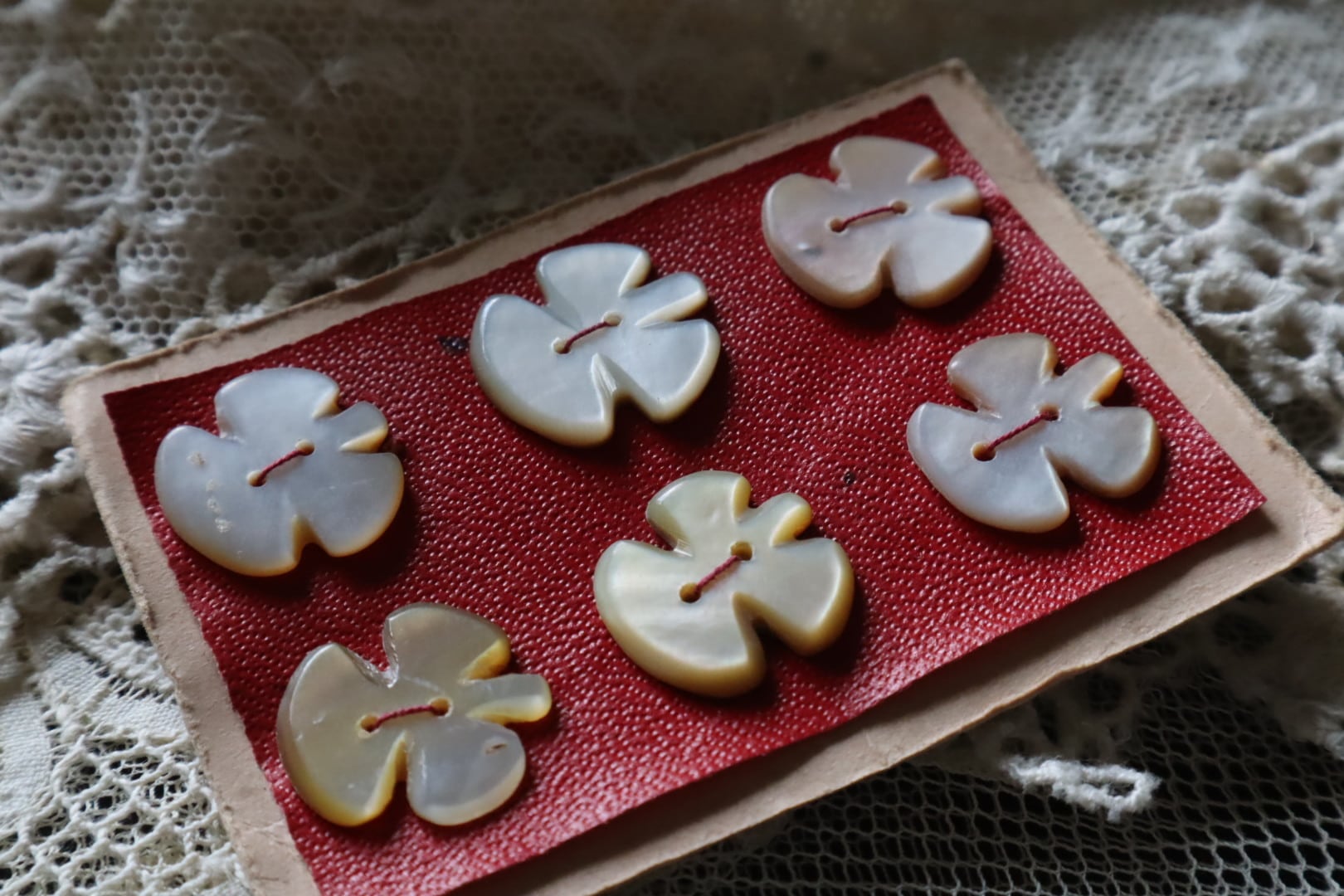 すべての商品 | vmt antique アンティーク雑貨の家