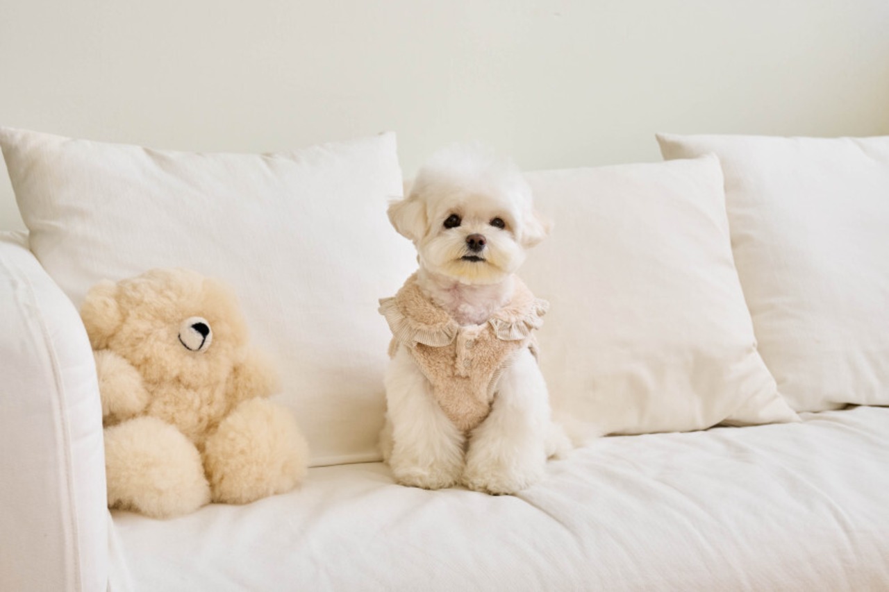 即納 【hapoohe】  Snow Bell Pancho (brown)