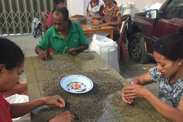 （会員限定１０％ OFF）(80gx1袋)（送料無料）インドネシア フローレス島 バジャワ ママ・アナスさんたちのコーヒー