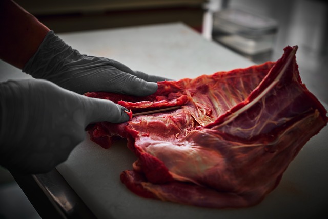 "五つの誘惑"天然猪ベーコン100g/天然猪ロース スライス（塩麹/味噌/プレーン）300g/Steak haché 300g_岡田修謹製【送料無料＆ギフトBOX６人前仕様】