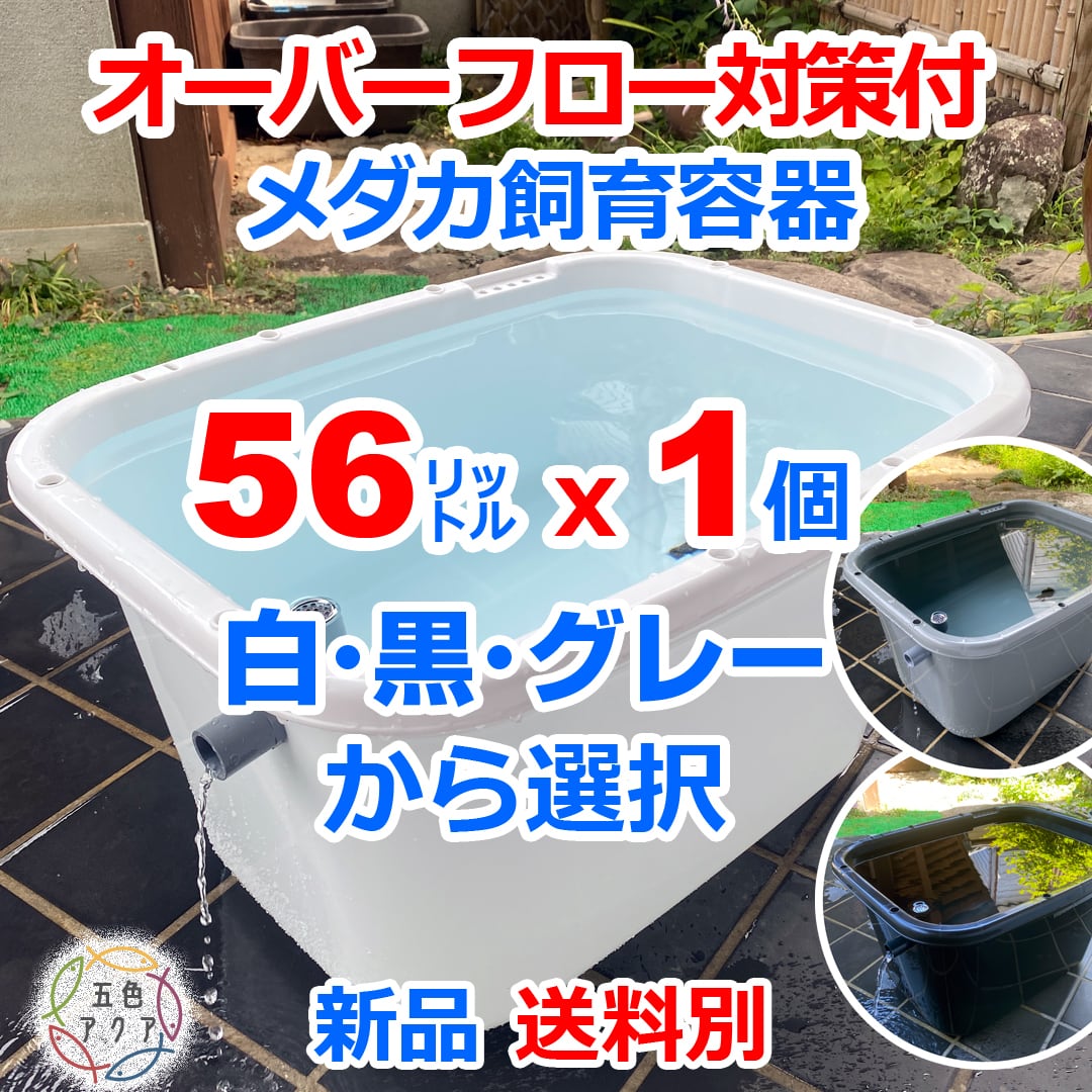 五色アクア BASE店