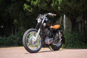 SMall bullet Turn signal (UMber lens)