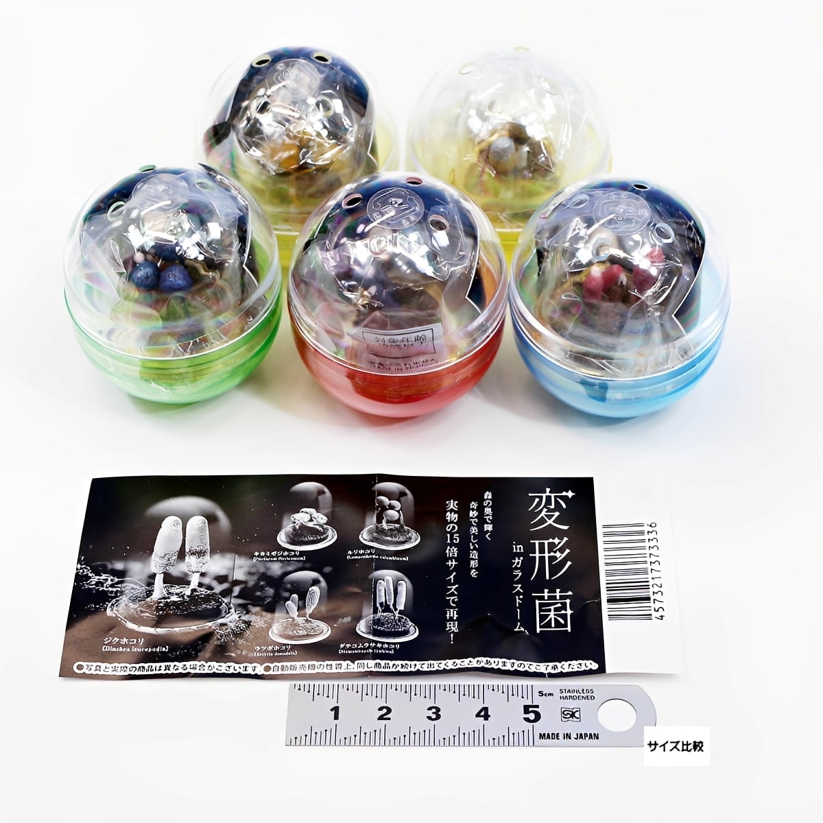 フルコンプ】 変形菌inガラスドーム 【全5種セット】 レインボー Slime