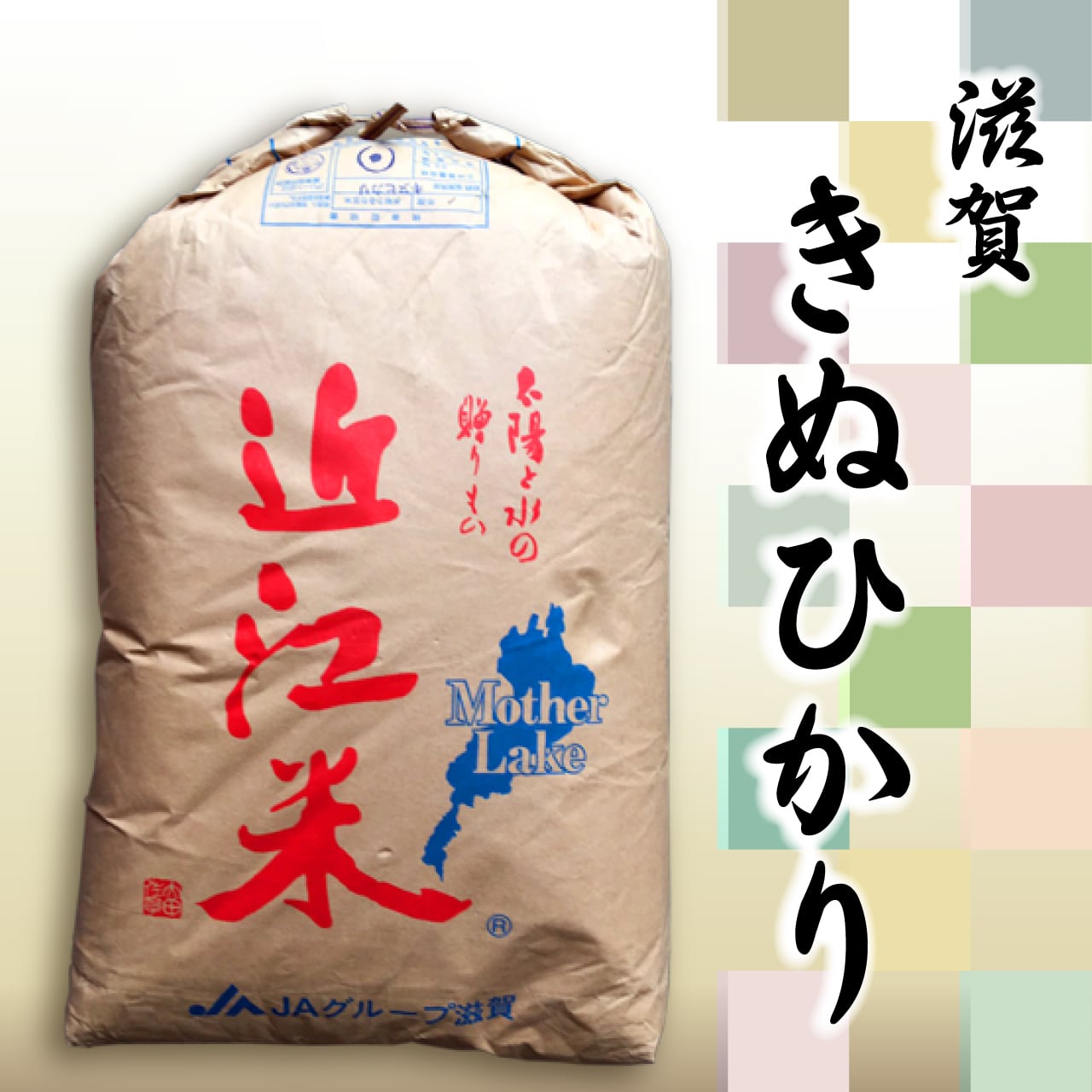 自家栽培・直送-　滋賀県産【近江米】キヌヒカリ　令和５年産　新米　玄米３０kg