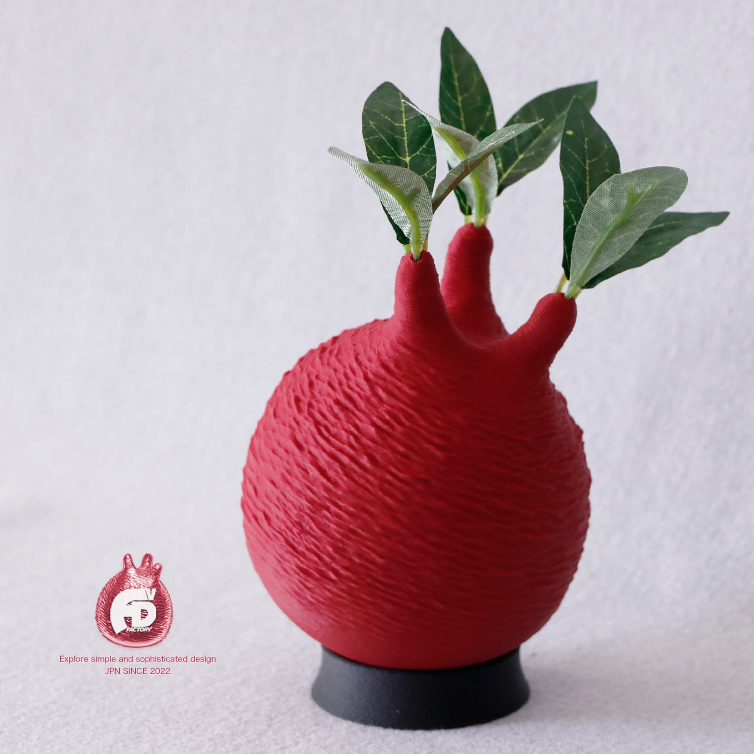 触れたくなるCaudex造形｜パキポディウム グラキリス｜(130x240) Ssize