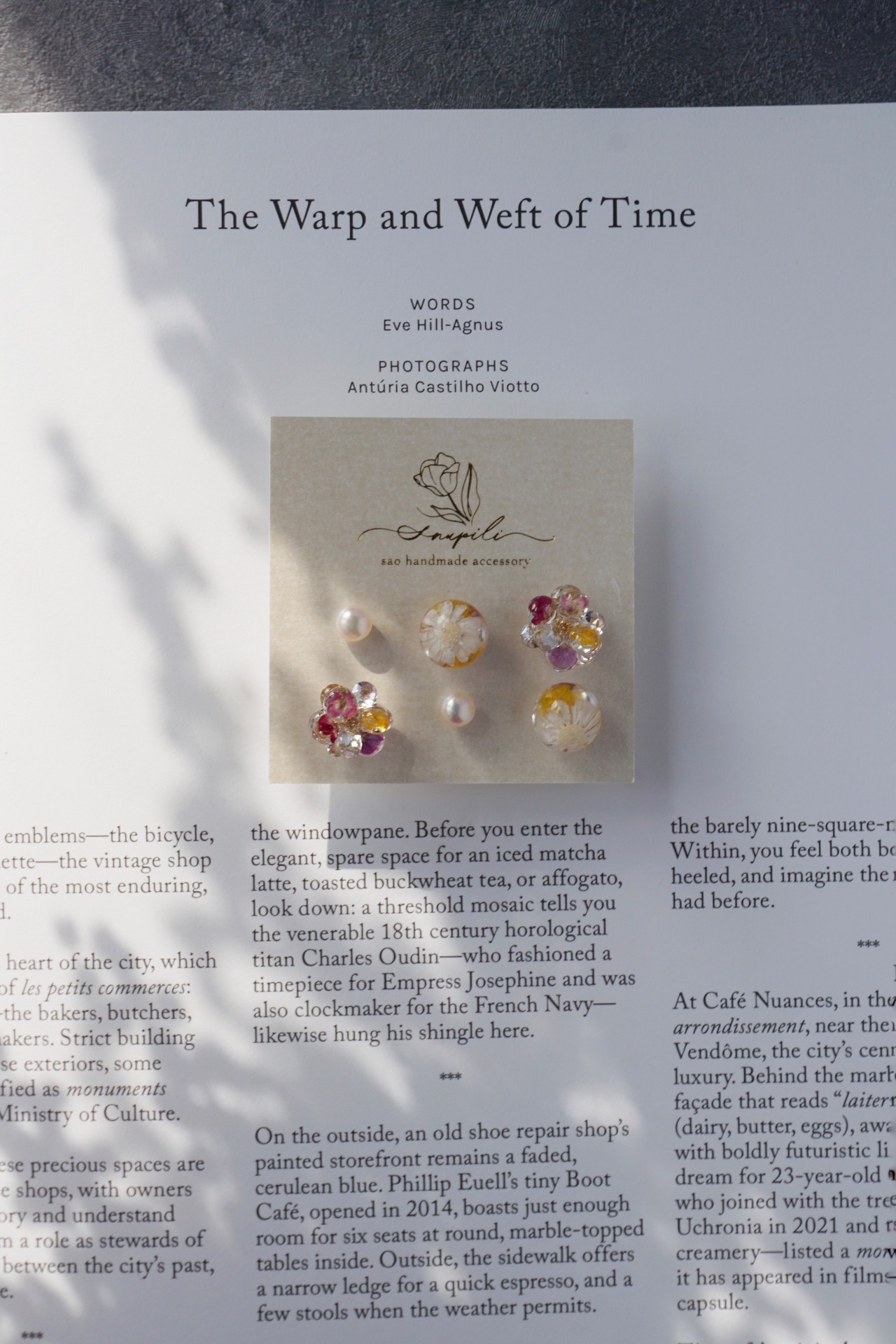 春の訪れ　6点セット