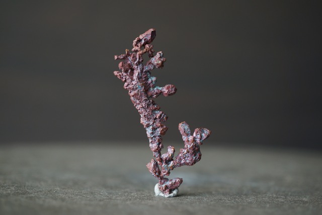 カザフスタン産自然銅  Native Copper 1888