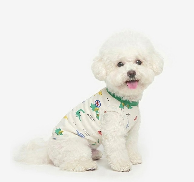 《予約》TU0054  DINO PATTERN