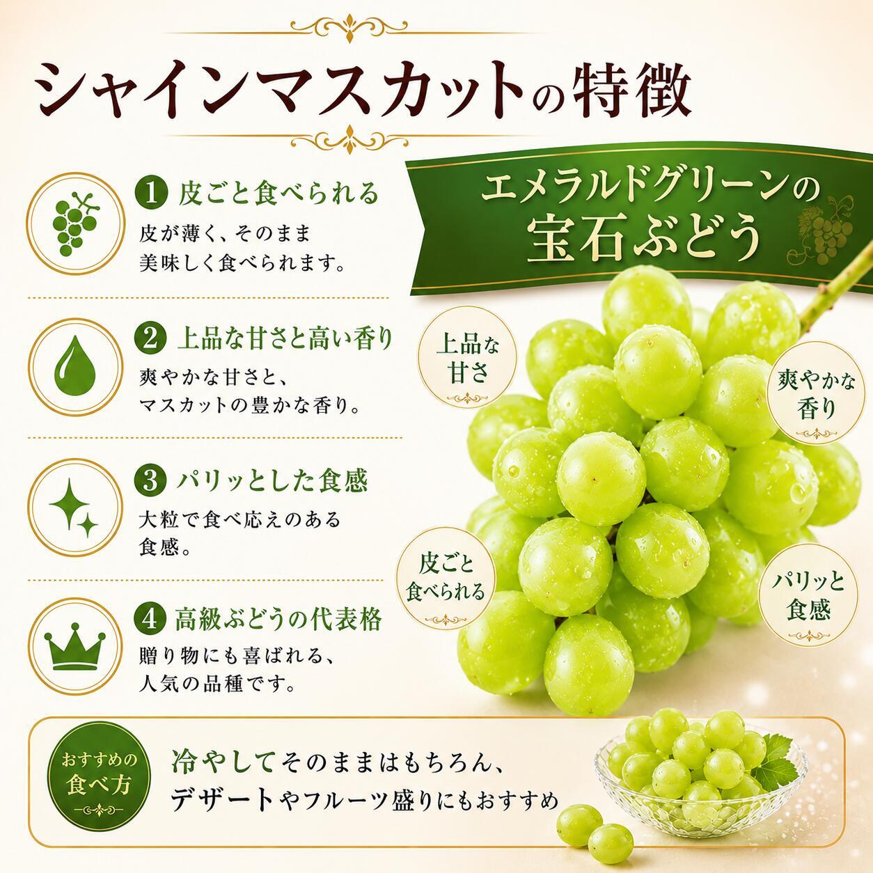 果樹園 マスカットノワール 値段 ぶどう苗 マスカットノワール 苗木