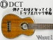 【DCT】DUS-300M